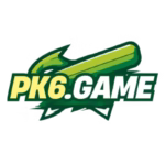 PK6 game