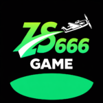 ZS666 Game